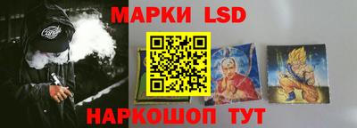 СК Гатчина